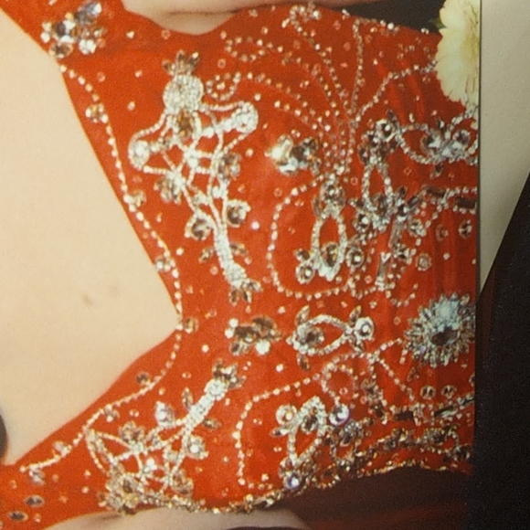 Beautiful Fancy Dress - Picture 7 of 9